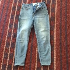 Everlane Curvy Way High Skinny Jean